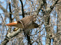 IMG_2169p.jpg