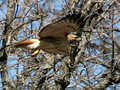 IMG_2170p.jpg