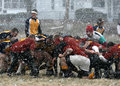 IMG_8535p.jpg