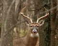 IMG_9914pp.jpg