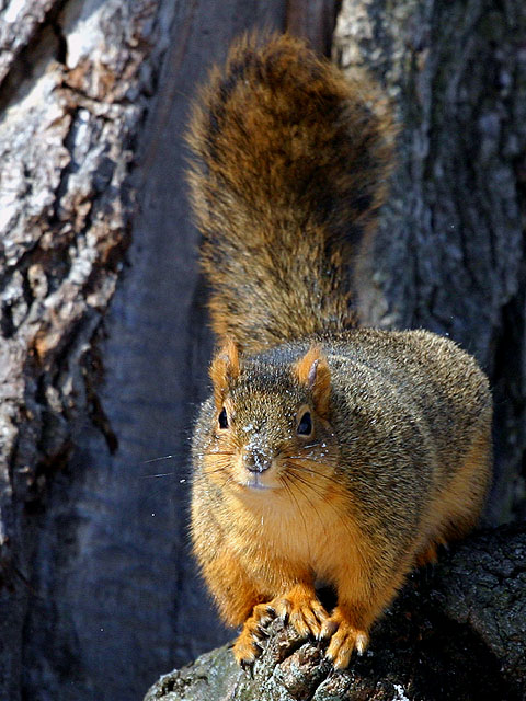 IMG_4218p.jpg