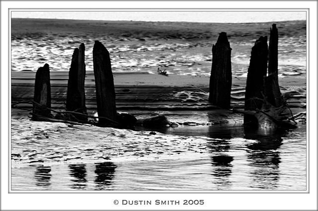 Stumps, Missouri River, Boone County, Missouri.jpg