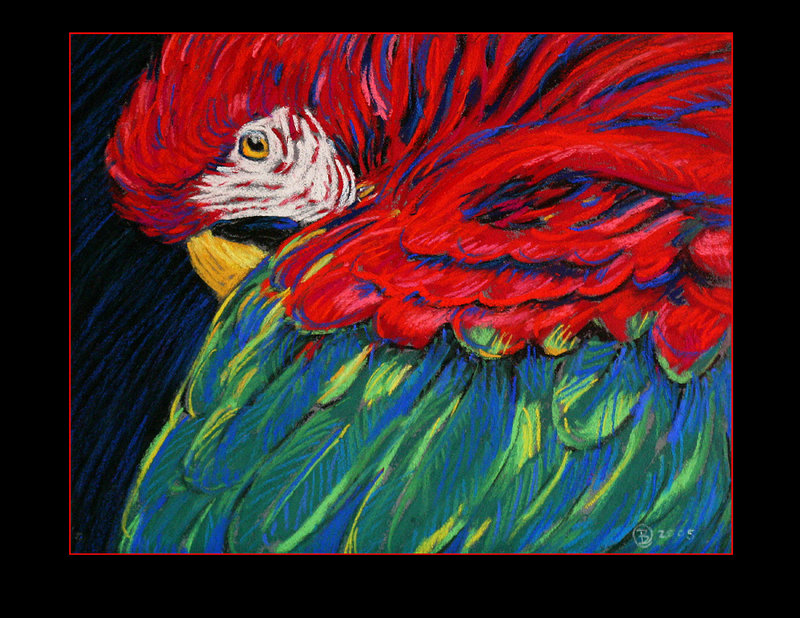 parrot pastel