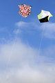 _IGP8384.jpg