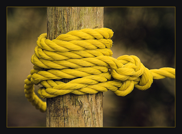 Rope