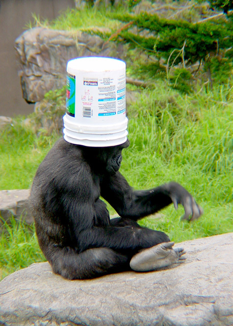 gorillabucket2.jpg