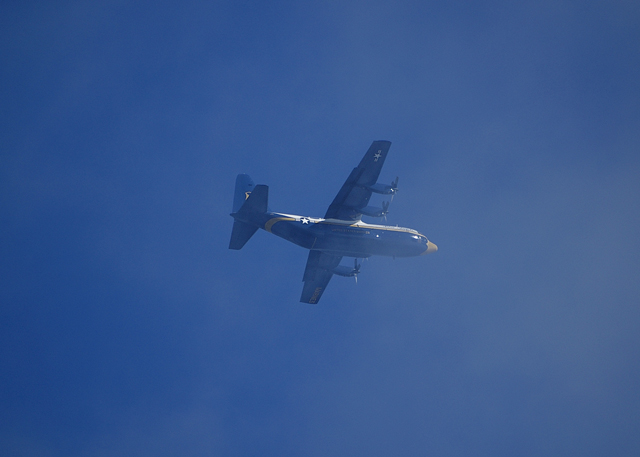 Fat Albert