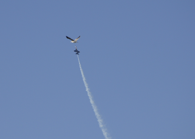 _IGP3112.jpg