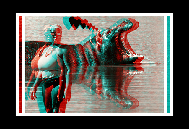 hippo3DII.jpg