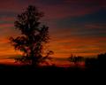Ga. sunset