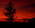 red sunset