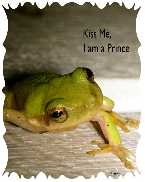 kiss me