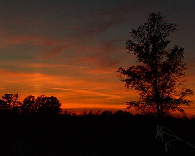 country sunset