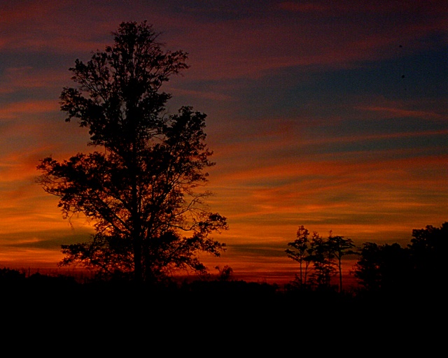 Ga. sunset