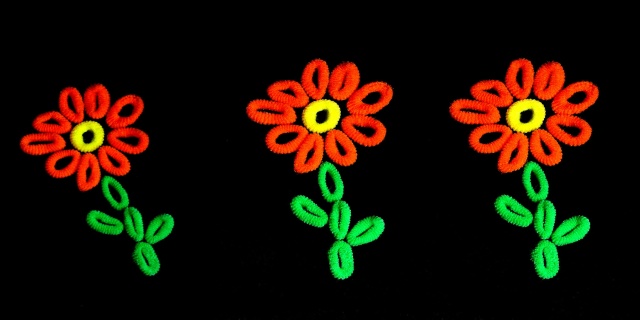 3 flowers