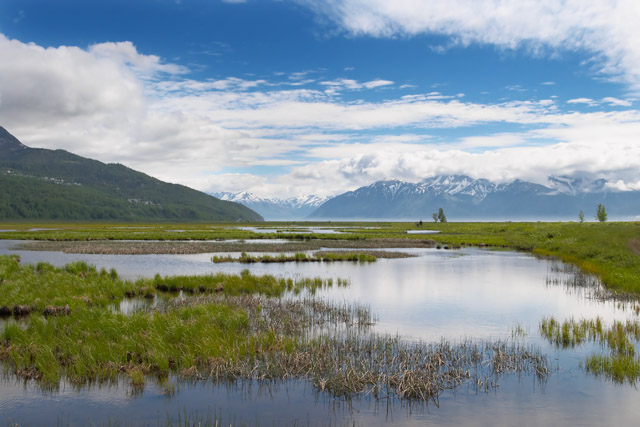 Potter's Marsh