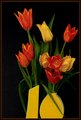 Tulips on Black