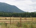 Hay and Red Gate