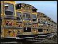 School Busses