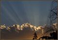 Evenings Rays