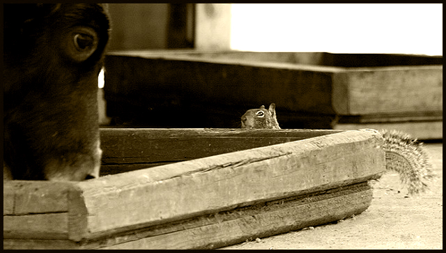 Great and  Small