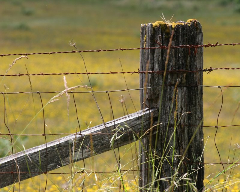 Fence Post