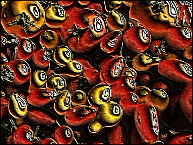 Tomatoes