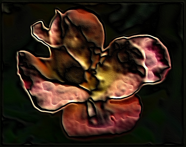 Wild Rose