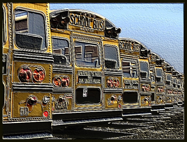 School Busses