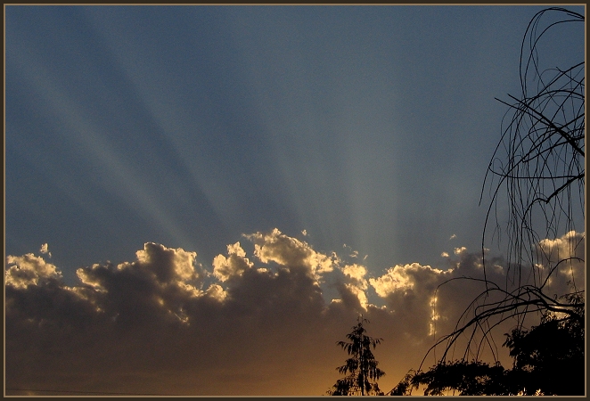 Evenings Rays