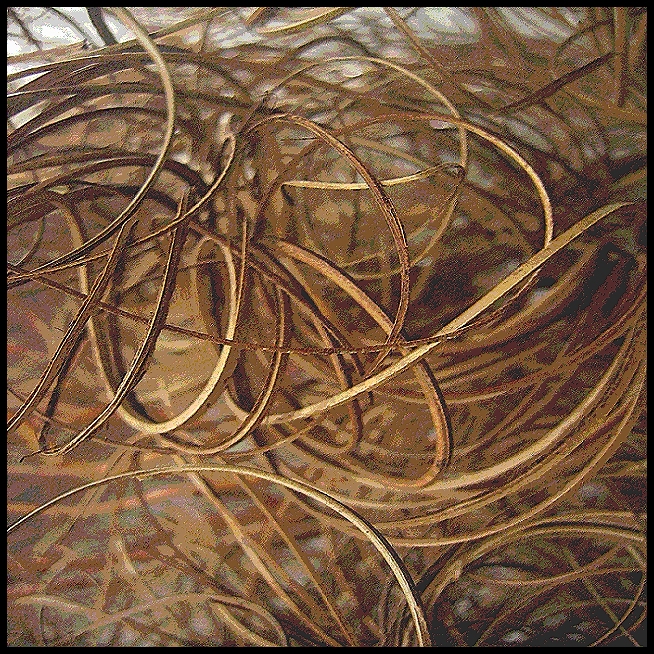 Tangled