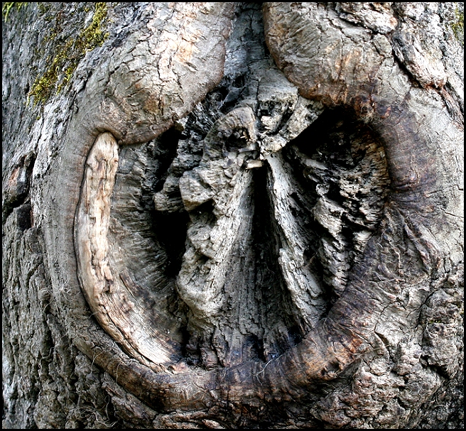Knot