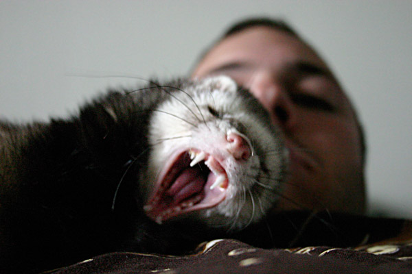 yawningsmall.jpg