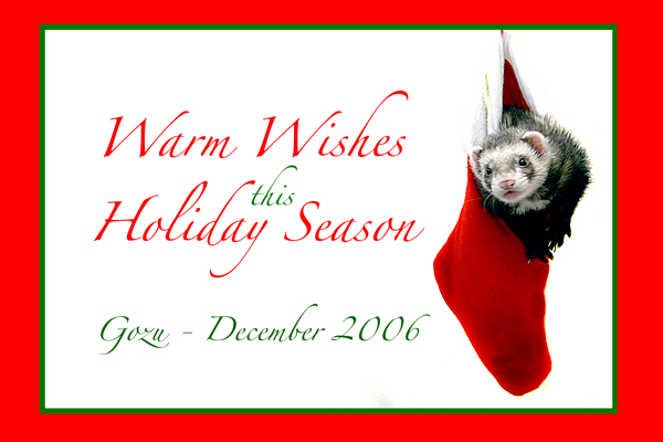 2006 Holiday Card