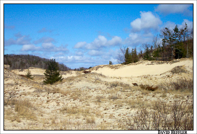 dunes2small.jpg