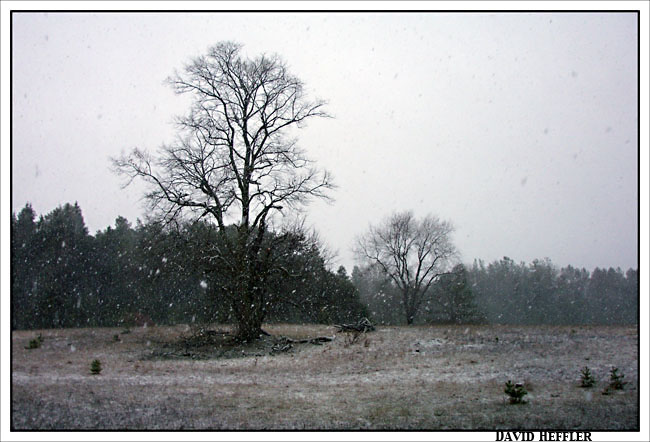 Outside Cabin1-small.jpg