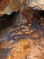 Caves