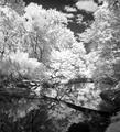 Infrared reflections