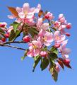 Signs of spring