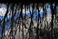 Dark waters