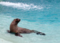 Basking