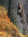 Cautious