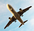 In flight 6