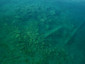 Shipwreck