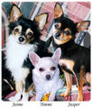 Three babies
