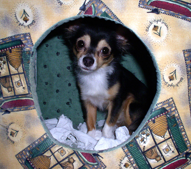 Caught in the act
