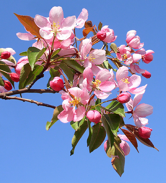Signs of spring