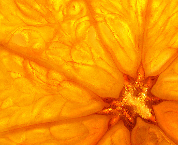 Orange slice