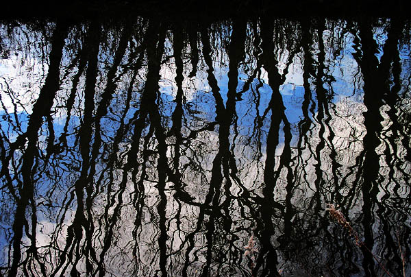 Dark waters