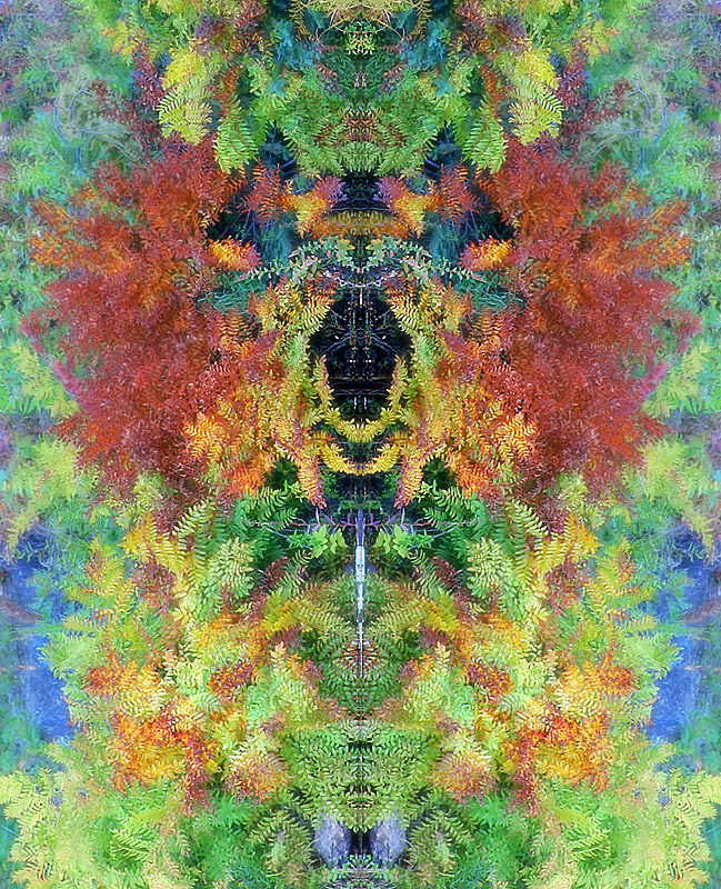 Shaman